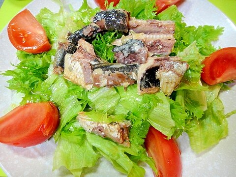 いわし缶とレタスわさび菜のサラダ